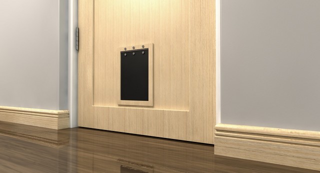 Cat Flap Installation Seven Sisters, N15